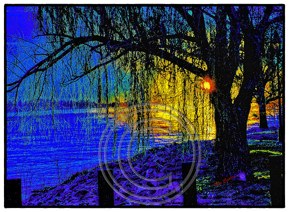 ShultZ Palk Sun rise