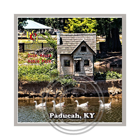 Duck House