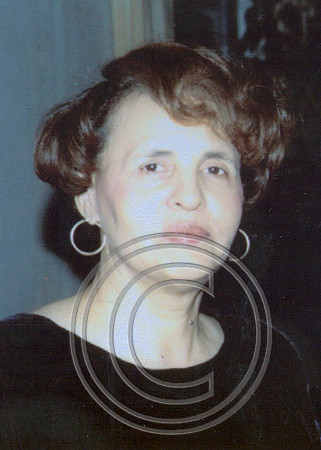 ShannonArchives134
