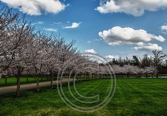 WMC_0621