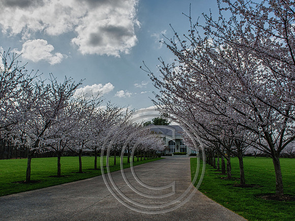 WMC_0623