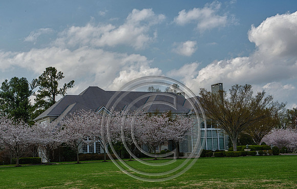 WMC_0627