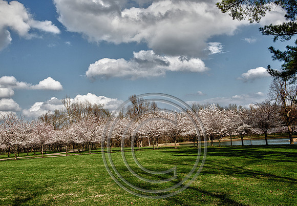 WMC_0630