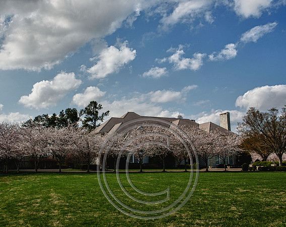 WMC_0631