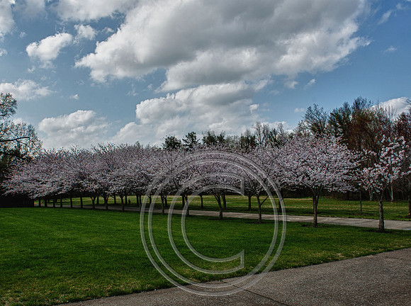 WMC_0637