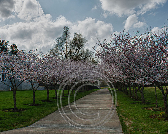 WMC_0639