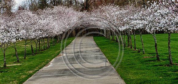 WMC_0645