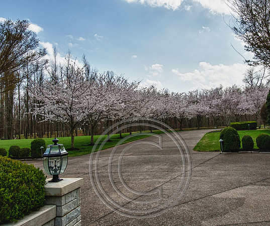 WMC_0649