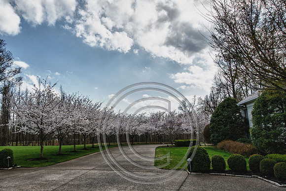 WMC_0651