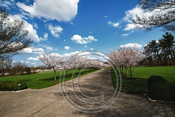 WMC_0663