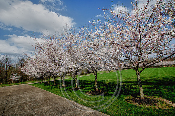 WMC_0670