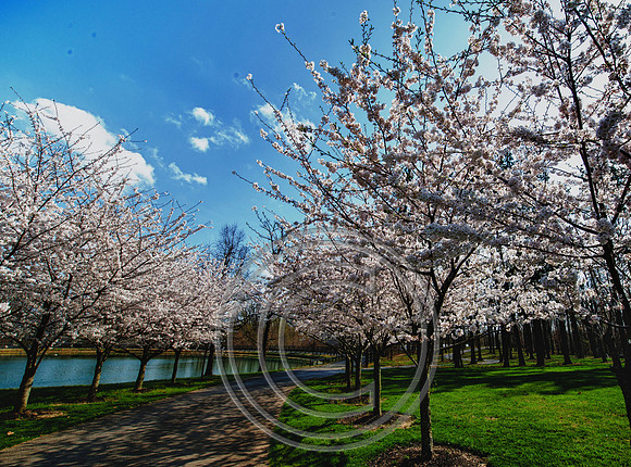 WMC_0683