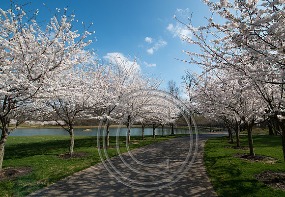 WMC_0685