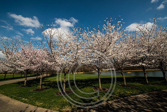 WMC_0687