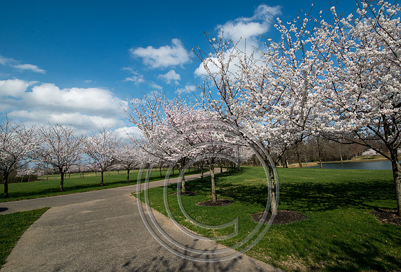 WMC_0688
