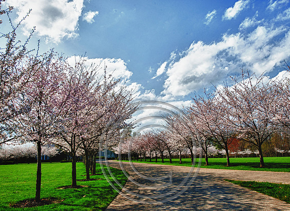 WMC_0690