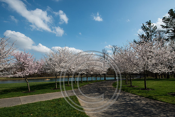 WMC_0695