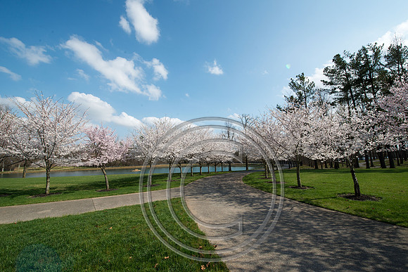WMC_0696