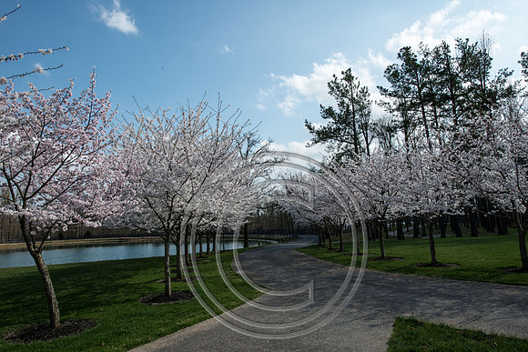 WMC_0697