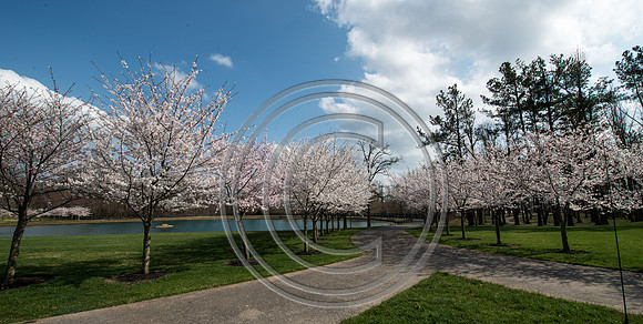 WMC_0717