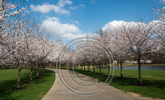 WMC_0719