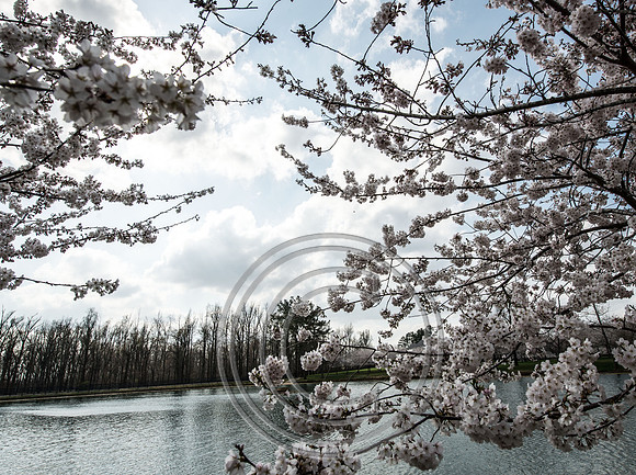 WMC_0733