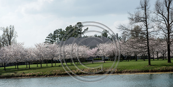 WMC_0736