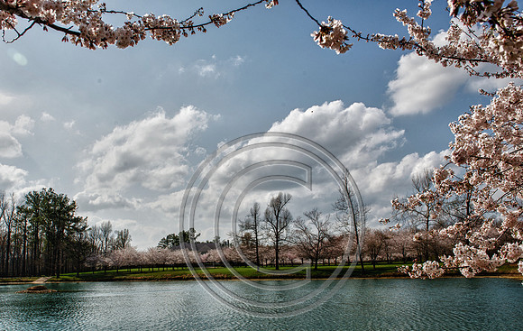 WMC_0739