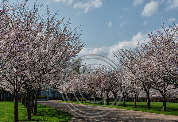 WMC_0754