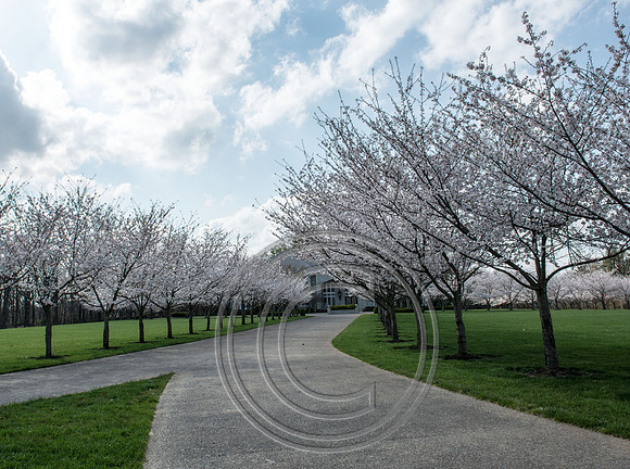 WMC_0757