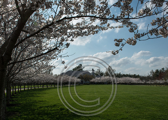 WMC_0762