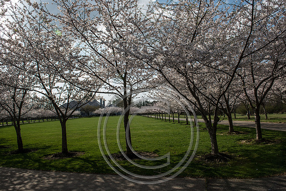 WMC_0777