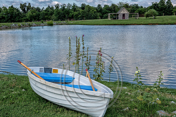 WMC_7358