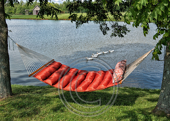 WMC_7365-Recovered