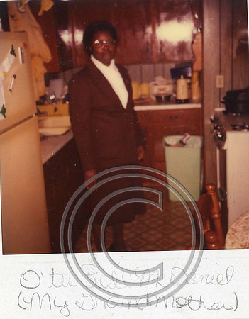 Carter Family Reunions131