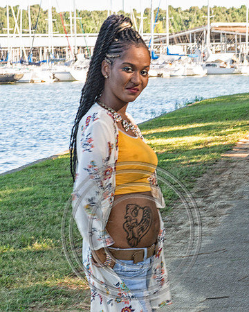 _WMC1466