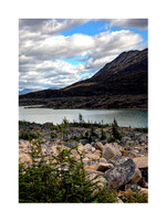 Vertical Landscape Portraits