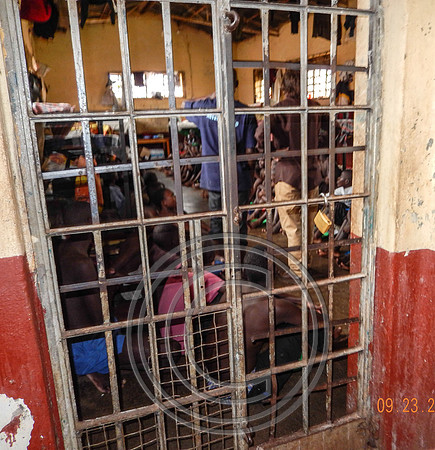 75 Juveniles - small cell