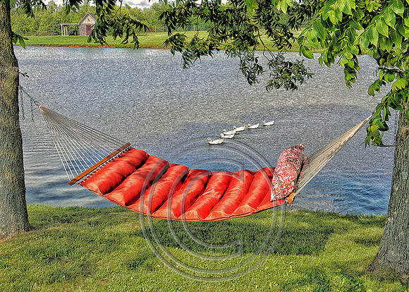 WMC_7365-