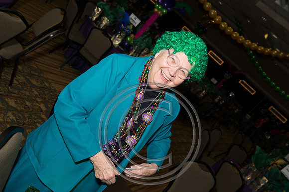mardigras.2015.048
