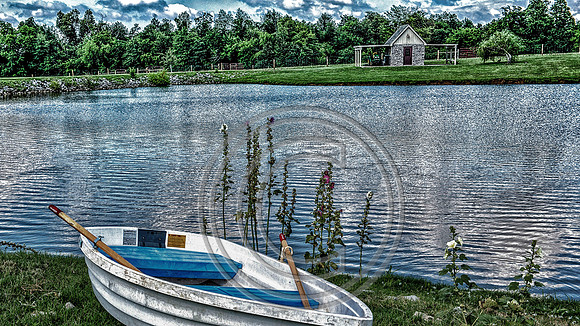 WMC_7358_1