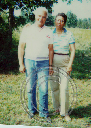 ShannonArchives161