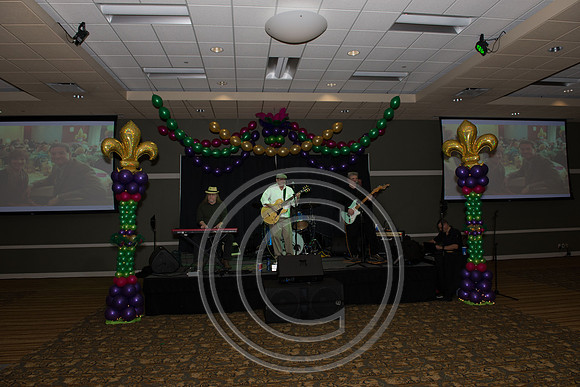 mardigras.2015.101