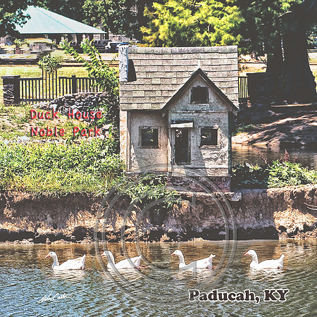 Noble Duck House