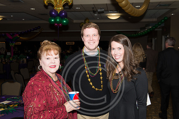 mardigras.2015.047